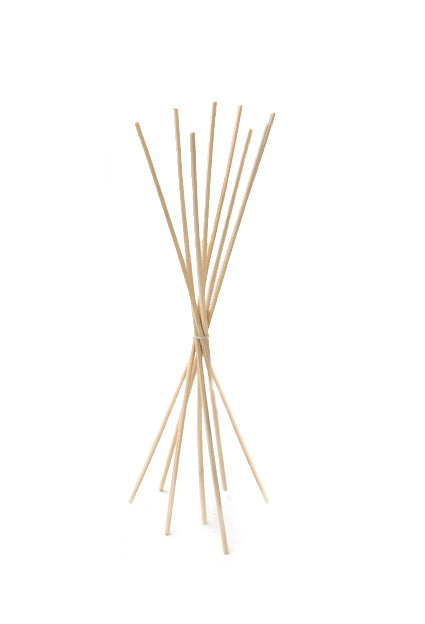 Rattan 26cm (Bastoncini in mazzetto da 7 pezzi) per Cubo 200 ml