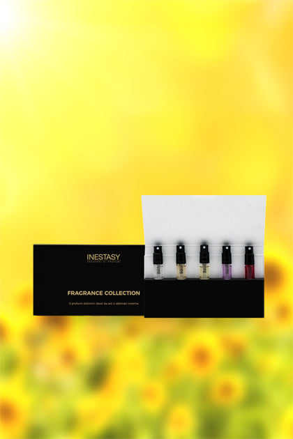 Discovery Kit - Sunflower Collection